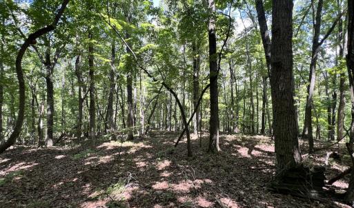 Photo #24 of Off of Amy Lane, Moneta, VA 6.6 acres