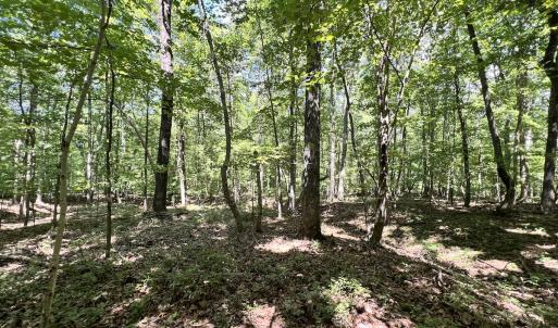 Photo #25 of Off of Amy Lane, Moneta, VA 6.6 acres