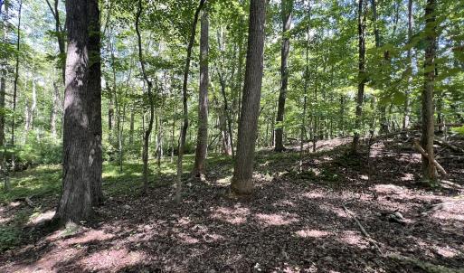Photo #26 of Off of Amy Lane, Moneta, VA 6.6 acres