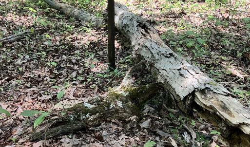 Photo #27 of Off of Amy Lane, Moneta, VA 6.6 acres