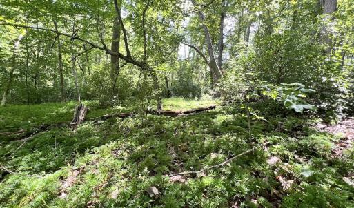 Photo #28 of Off of Amy Lane, Moneta, VA 6.6 acres
