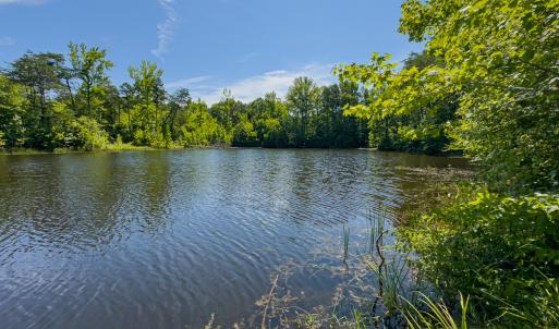 Photo #3 of SOLD property in Off Aldridge Road, Yanceyville, NC 56.6 acres