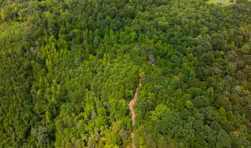 Photo #8 of SOLD property in Off Aldridge Road, Yanceyville, NC 56.6 acres