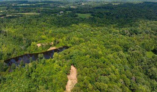 Photo #12 of SOLD property in Off Aldridge Road, Yanceyville, NC 56.6 acres