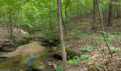Photo #17 of SOLD property in Off Aldridge Road, Yanceyville, NC 56.6 acres