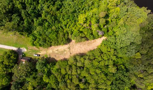 Photo #18 of SOLD property in Off Aldridge Road, Yanceyville, NC 56.6 acres