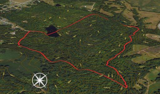 Photo #23 of SOLD property in Off Aldridge Road, Yanceyville, NC 56.6 acres