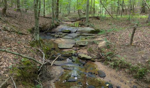 Photo #24 of SOLD property in Off Aldridge Road, Yanceyville, NC 56.6 acres