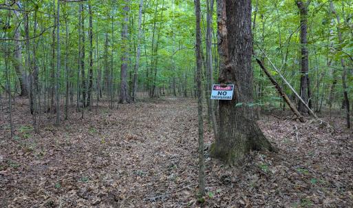Photo #26 of SOLD property in Off Aldridge Road, Yanceyville, NC 56.6 acres
