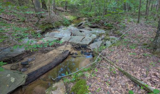 Photo #30 of SOLD property in Off Aldridge Road, Yanceyville, NC 56.6 acres