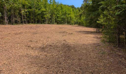 Photo #33 of SOLD property in Off Aldridge Road, Yanceyville, NC 56.6 acres