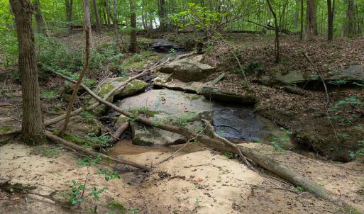 Photo #36 of SOLD property in Off Aldridge Road, Yanceyville, NC 56.6 acres