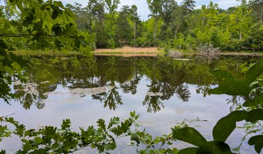 Photo #37 of SOLD property in Off Aldridge Road, Yanceyville, NC 56.6 acres