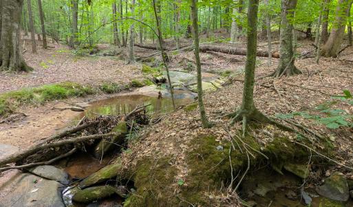 Photo #42 of SOLD property in Off Aldridge Road, Yanceyville, NC 56.6 acres