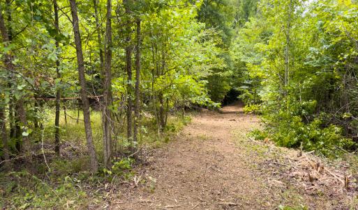 Photo #46 of SOLD property in Off Aldridge Road, Yanceyville, NC 56.6 acres