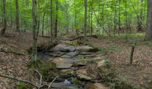 Photo #47 of SOLD property in Off Aldridge Road, Yanceyville, NC 56.6 acres