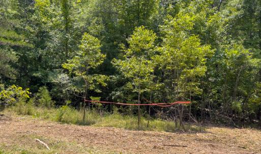 Photo #48 of SOLD property in Off Aldridge Road, Yanceyville, NC 56.6 acres