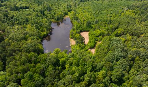 Photo #51 of SOLD property in Off Aldridge Road, Yanceyville, NC 56.6 acres