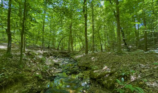 Photo #52 of SOLD property in Off Aldridge Road, Yanceyville, NC 56.6 acres