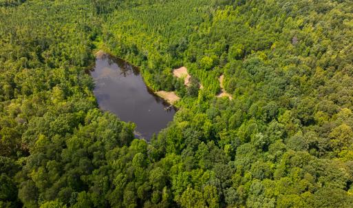 Photo #54 of SOLD property in Off Aldridge Road, Yanceyville, NC 56.6 acres