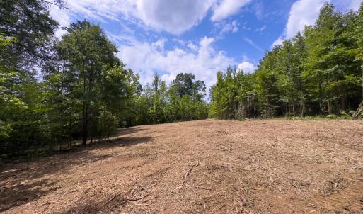 Photo #55 of SOLD property in Off Aldridge Road, Yanceyville, NC 56.6 acres