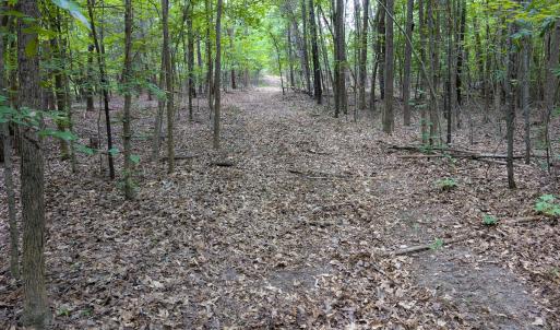Photo #57 of SOLD property in Off Aldridge Road, Yanceyville, NC 56.6 acres
