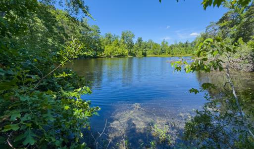 Photo #59 of SOLD property in Off Aldridge Road, Yanceyville, NC 56.6 acres