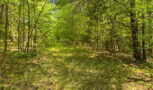 Photo #60 of SOLD property in Off Aldridge Road, Yanceyville, NC 56.6 acres