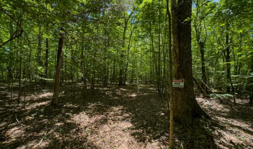 Photo #61 of SOLD property in Off Aldridge Road, Yanceyville, NC 56.6 acres