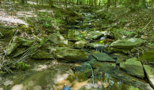 Photo #62 of SOLD property in Off Aldridge Road, Yanceyville, NC 56.6 acres