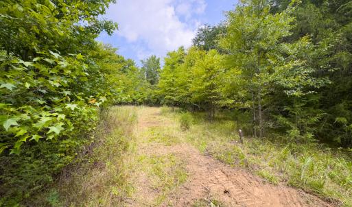Photo #63 of SOLD property in Off Aldridge Road, Yanceyville, NC 56.6 acres
