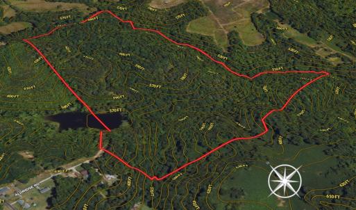 Photo #2 of SOLD property in Off Aldridge Road, Yanceyville, NC 56.6 acres