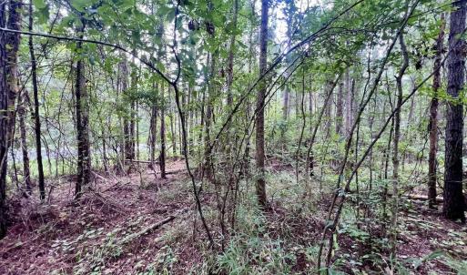 Photo #19 of SOLD property in 114 Baytree Ln, Havelock, NC 3.8 acres