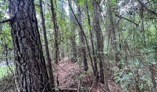 Photo #20 of SOLD property in 114 Baytree Ln, Havelock, NC 3.8 acres
