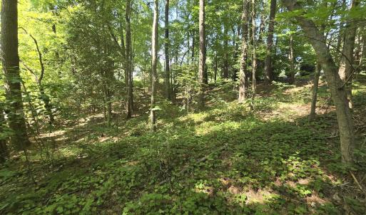 Photo #12 of 0 The Pointe, Sanford, NC 0.4 acres