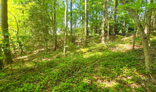 Photo #17 of 0 The Pointe, Sanford, NC 0.4 acres