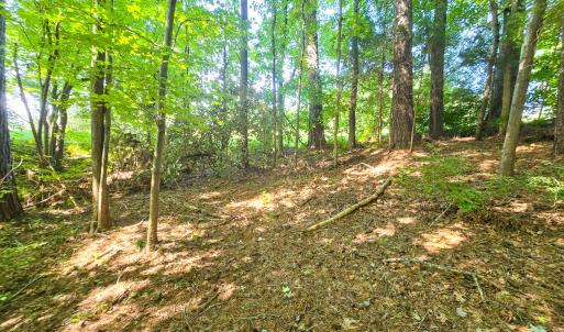 Photo #18 of 0 The Pointe, Sanford, NC 0.4 acres