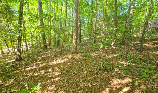 Photo #10 of 0 The Pointe, Sanford, NC 0.4 acres