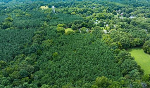 Photo #4 of SOLD property in Off White Street, Warrenton, NC 17.5 acres