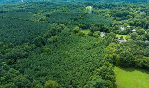 Photo #5 of SOLD property in Off White Street, Warrenton, NC 17.5 acres