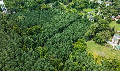 Photo #7 of SOLD property in Off White Street, Warrenton, NC 17.5 acres