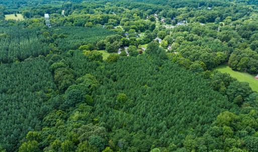Photo #10 of SOLD property in Off White Street, Warrenton, NC 17.5 acres