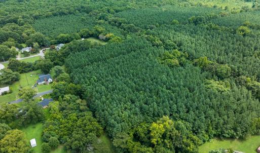 Photo #11 of SOLD property in Off White Street, Warrenton, NC 17.5 acres