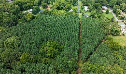 Photo #14 of SOLD property in Off White Street, Warrenton, NC 17.5 acres