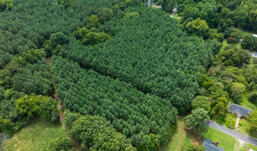 Photo #19 of SOLD property in Off White Street, Warrenton, NC 17.5 acres