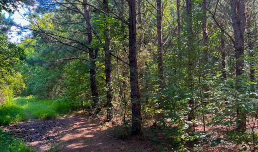 Photo #21 of SOLD property in Off White Street, Warrenton, NC 17.5 acres