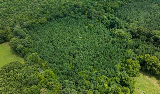 Photo #23 of SOLD property in Off White Street, Warrenton, NC 17.5 acres