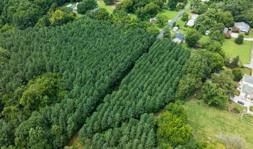 Photo #25 of SOLD property in Off White Street, Warrenton, NC 17.5 acres