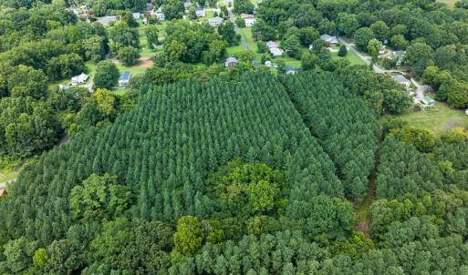 Photo #28 of SOLD property in Off White Street, Warrenton, NC 17.5 acres