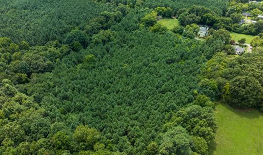 Photo #29 of SOLD property in Off White Street, Warrenton, NC 17.5 acres